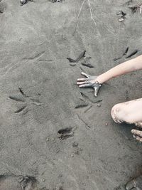 Bald eagle prints in the sand with human hand