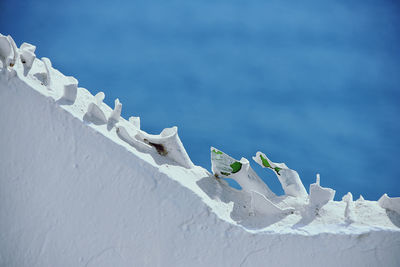 Snow covered plants against sky