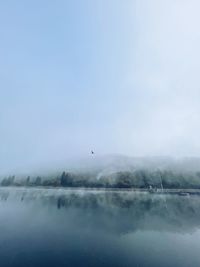 Bird flying over lake against sky