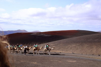 People riding camels on landscape against sky