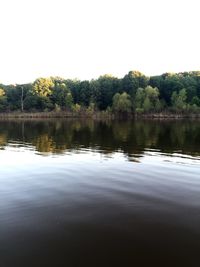 Reflection of trees in water