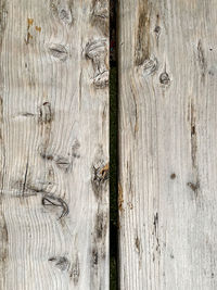 wood