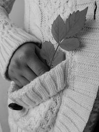 Close-up of hand holding leaf in snow