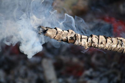 Close-up of smoke stack on table