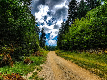 Road amidst trees in forest against sky