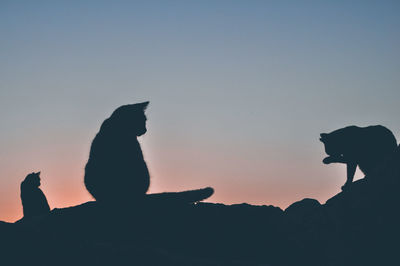 Silhouette of cats against clear sky during sunset