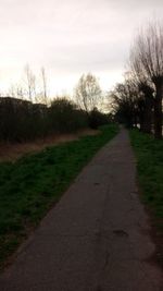 Road amidst trees against sky