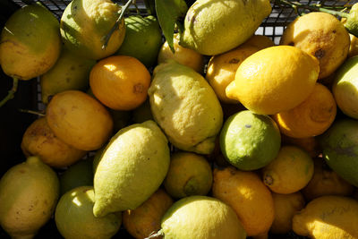 Full frame shot of fruits for sale at market stall