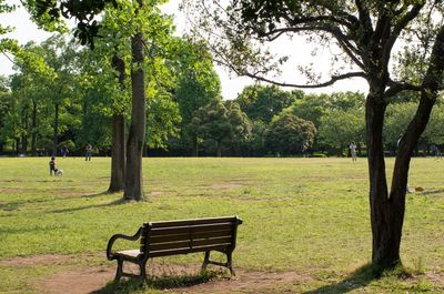 Bench in park