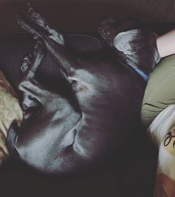 High angle view of man sleeping on bed at home