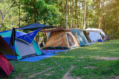 Tent on field by trees in forest