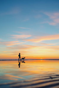 Silhouette of a man and a dog on the sea against the sunset. nature walk of a woman with a pet