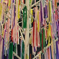 Low angle view of umbrellas