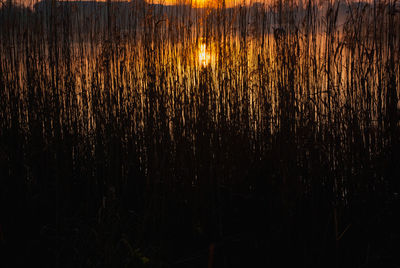 Scenic view of lake at night