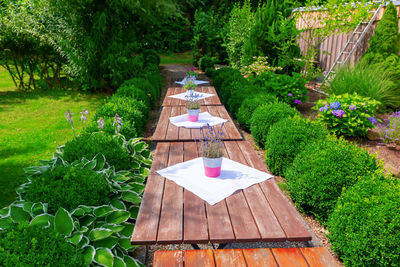 High angle view of gazebo in garden