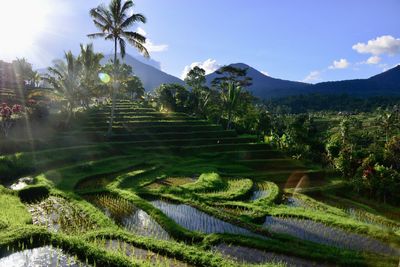 High angle view of townscape against sky
