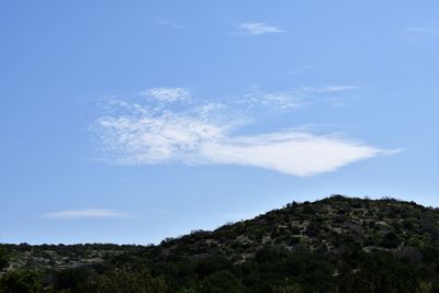 Low angle view of trees against sky