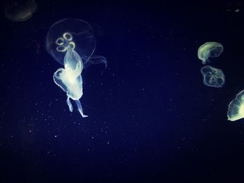 underwater