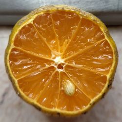 Close-up of orange slice