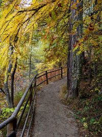 Footpath amidst trees in forest during autumn