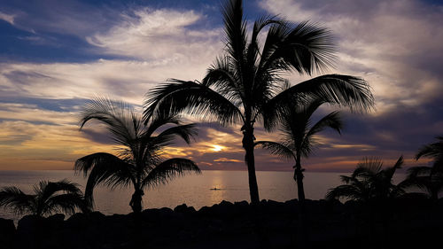 Silhouette tree by sea against dramatic sky