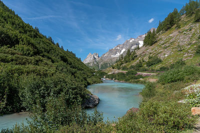 Scenic view of river amidst trees against sky