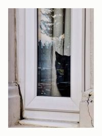 Digital composite image of a cat looking through window