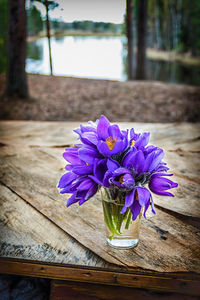 Close-up of purple flower