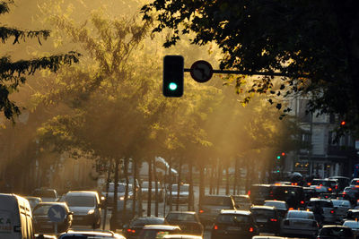 Traffic signal on road in city