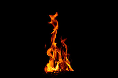 Close-up of fire against black background