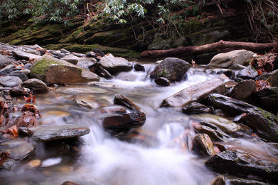 Scenic view of waterfall in forest