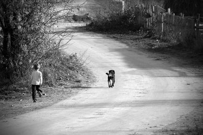 Rear view of people walking on road amidst trees