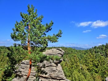 Scenic view of landscape against clear sky