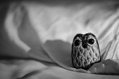 Close-up of owl toy on bed