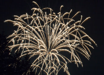 Low angle view of fireworks against sky at night