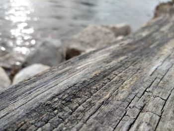 Close-up of wood on rock