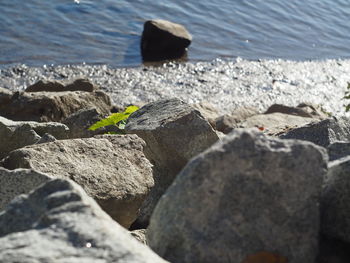 Close-up of stones on beach