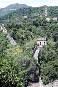 High angle view of trees and buildings