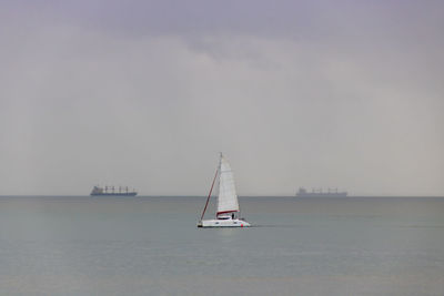 Sailboat sailing on sea against sky