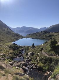 nature