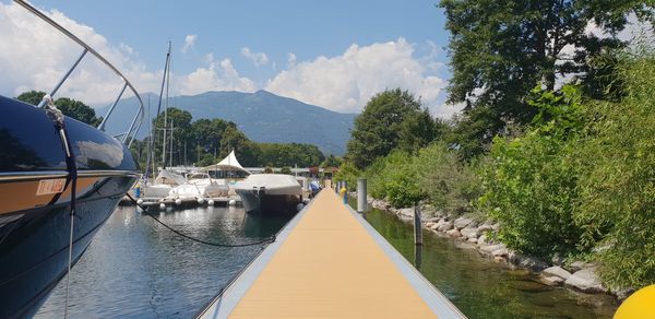 Panoramic view of river amidst trees against sky