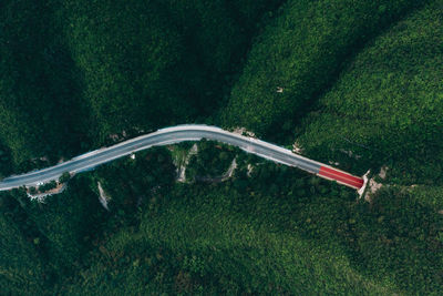 High angle view of road passing through forest