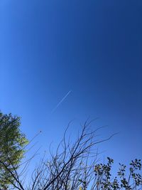 Low angle view of silhouette tree against blue sky