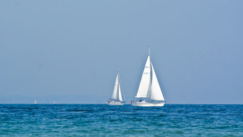 Sailboats sailing on sea against clear sky