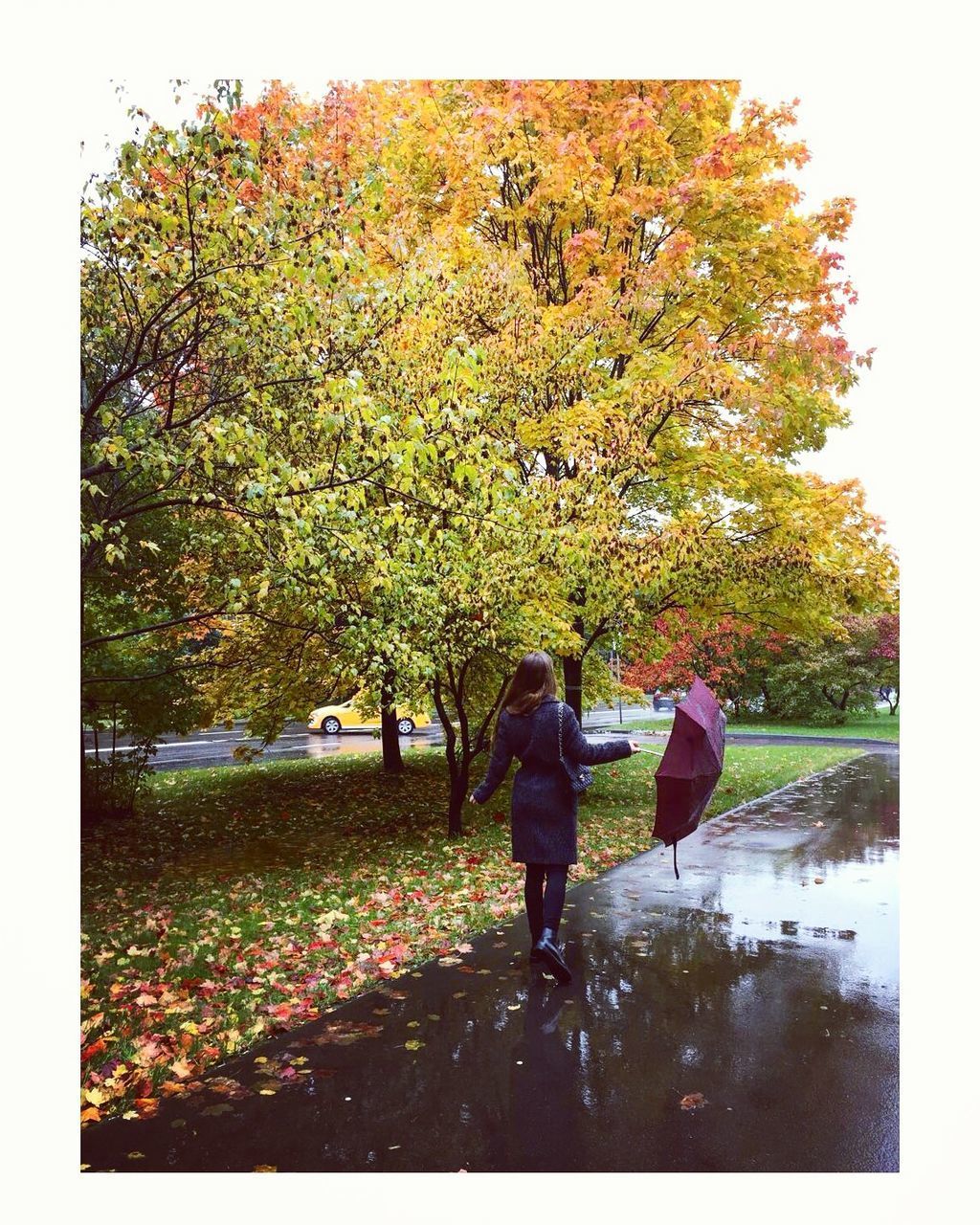 REAR VIEW OF TWO PEOPLE WALKING IN PARK