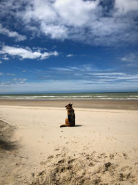 Rear view of woman sitting at beach against sky