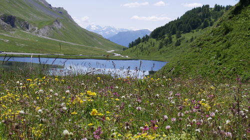 Scenic view of sea and mountains against sky