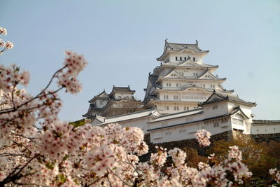 Low angle view of cherry blossoms by building against sky