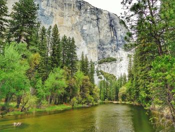 River flowing through rocks