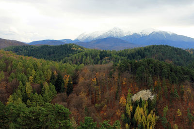 Scenic view of trees and mountains against sky